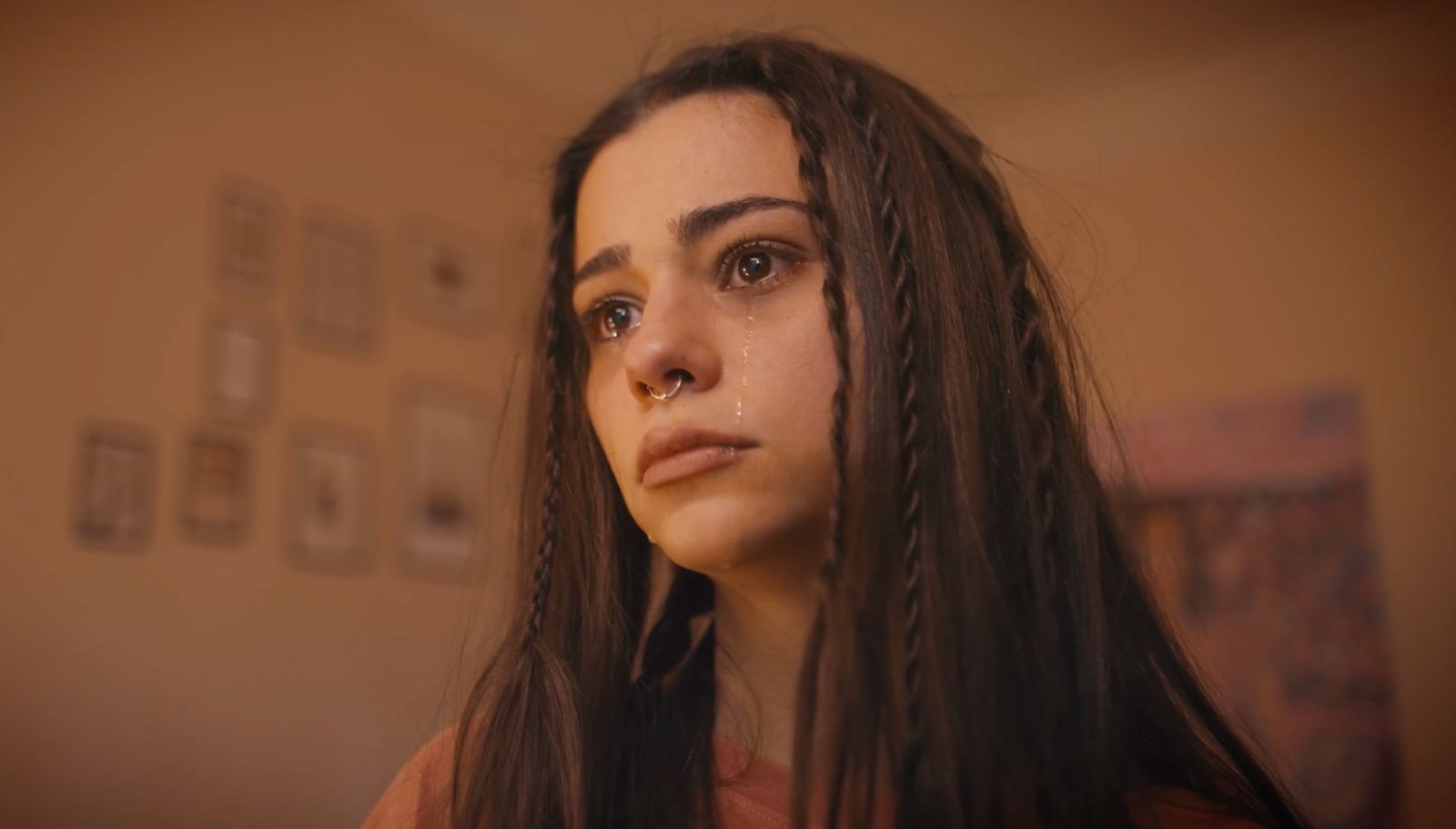 owl-carousel-banner-image